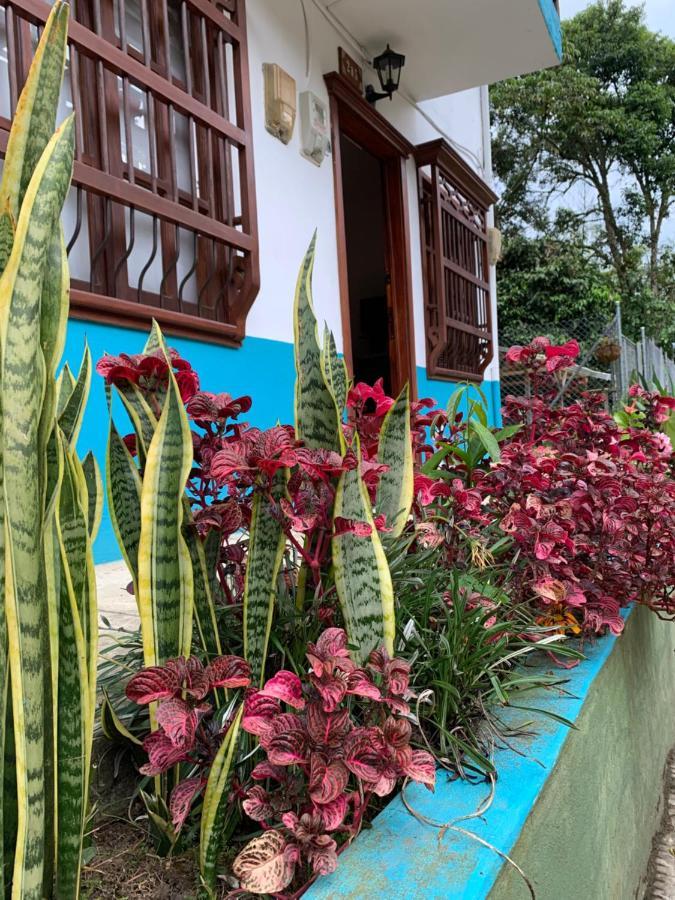 Hotel Casa Huespedes El Ensueno Jardin Exteriér fotografie